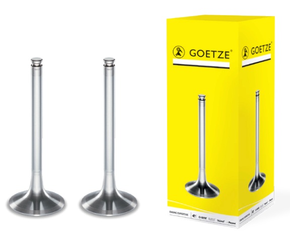 Engine Valves 